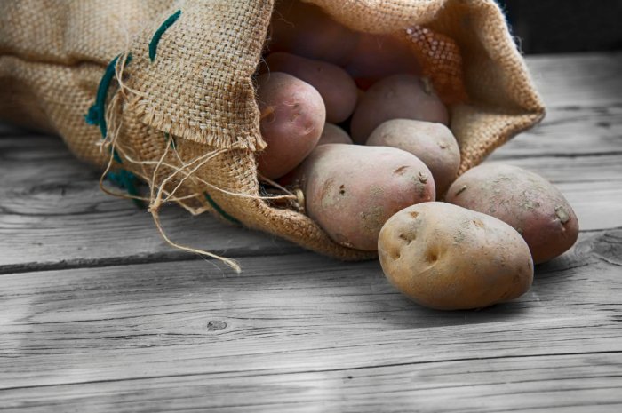 Gotowanie ziemniaków na czas: Jak przyśpieszyć ten proces?